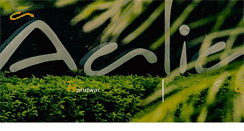 Desktop Screenshot of aalia.net